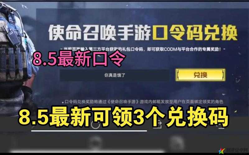 使命召唤手游G社tw账号绑定步骤详解及全面指南